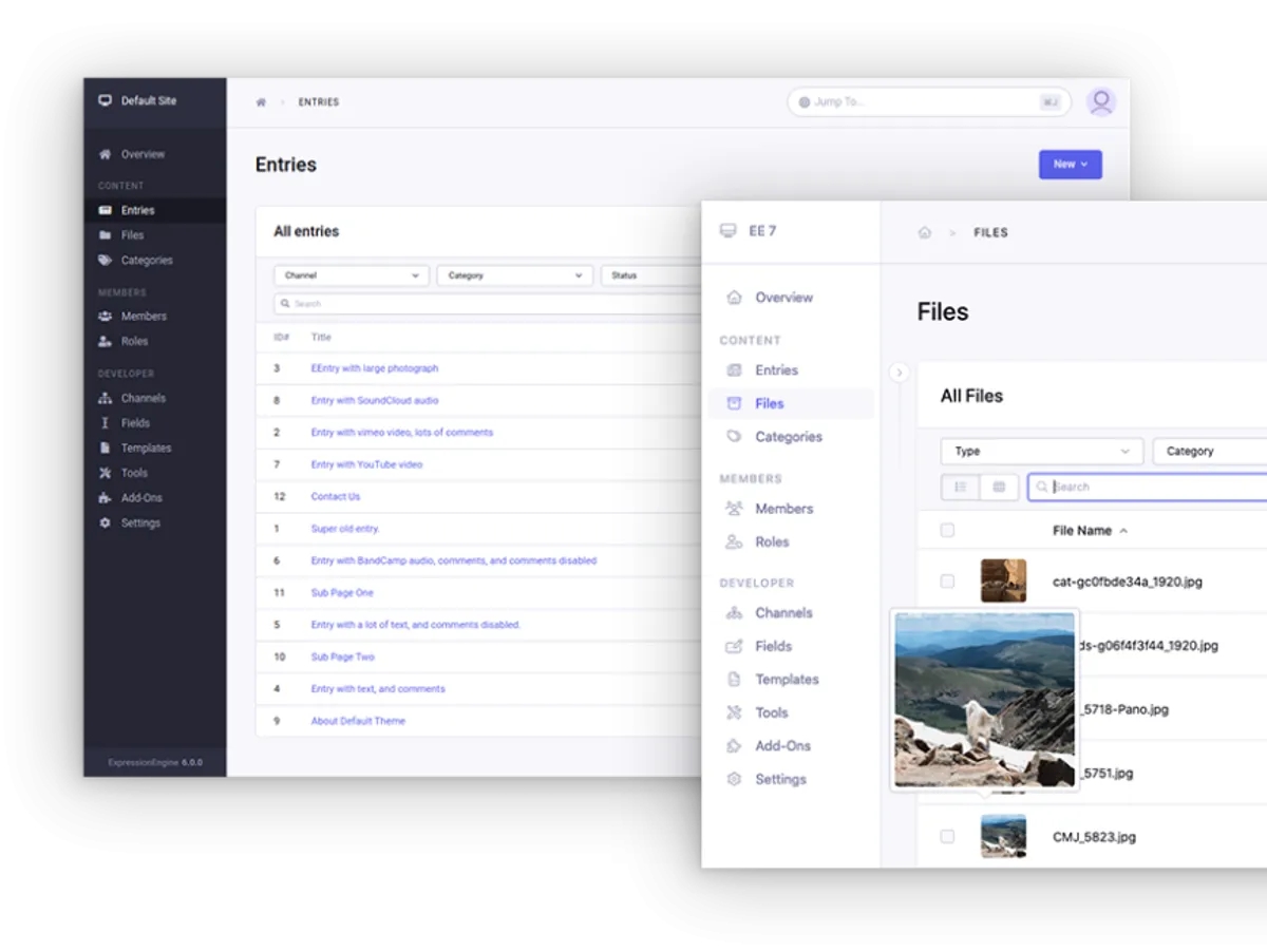 Why ExpressionEngine is a smart choice for building dynamic websites