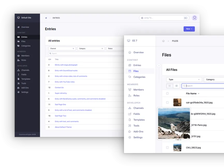 Why ExpressionEngine is a smart choice for building dynamic websites