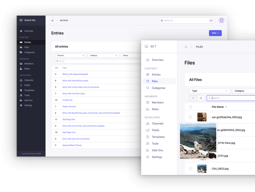 Why Choose ExpressionEngine CMS | Revision Road