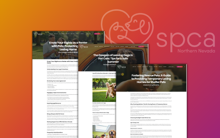 SPCA of Northern Nevada - image 4